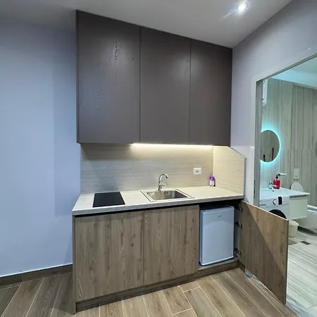 Luxury Apartment
